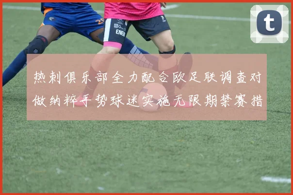 热刺俱乐部全力配合欧足联调查对做纳粹手势球迷实施无限期禁赛措施