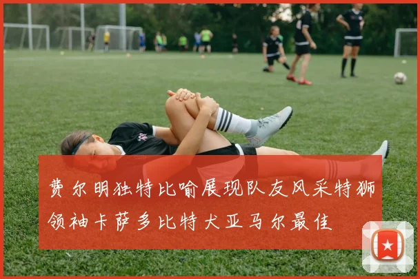 费尔明独特比喻展现队友风采特狮领袖卡萨多比特犬亚马尔最佳
