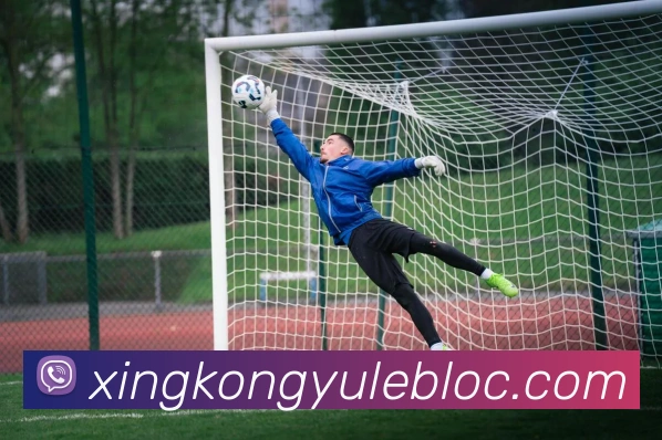 星空娱乐APP 封面图